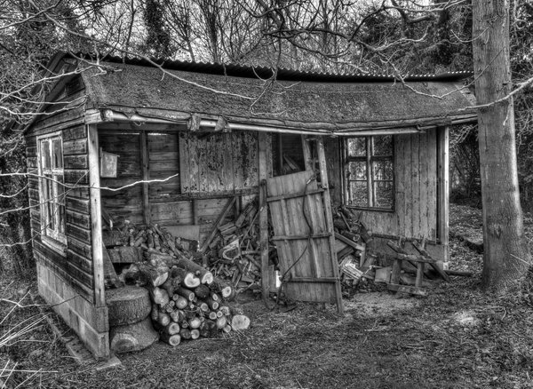 Lick of paint in Mono