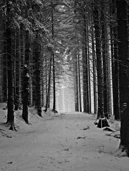Light at the end