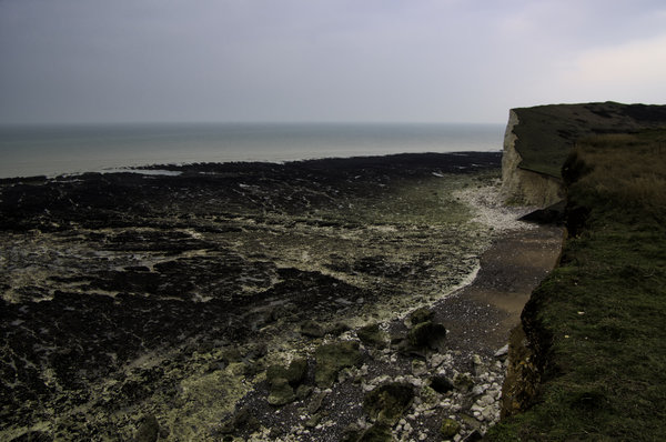 Low Tide