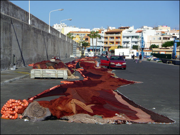 Mending a Red Net