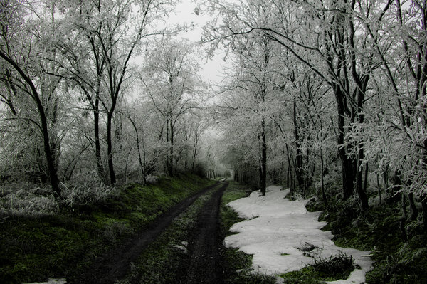 On the cold road 2013