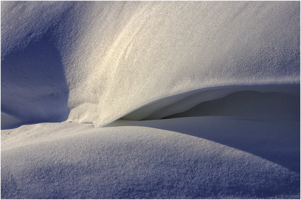 Shadow of Snow