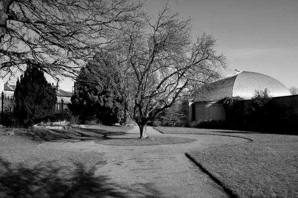 Small tree large tree,