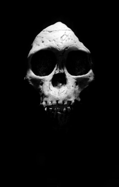 Taung Child