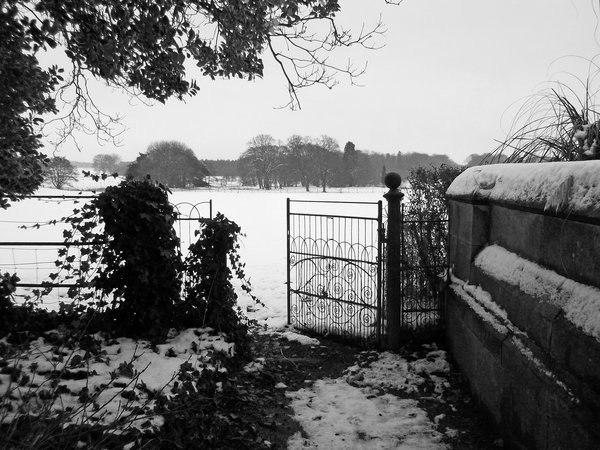 The Gate by Mrs A