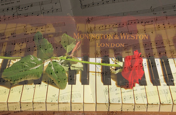 The Music of Love