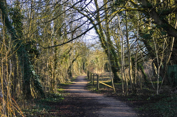 The Thames Path