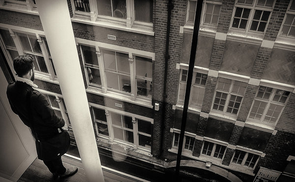 The Window