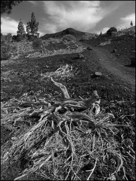 Volcanic Lanscape