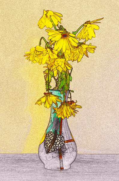 Wilted Blooms