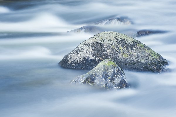 Zen Garden