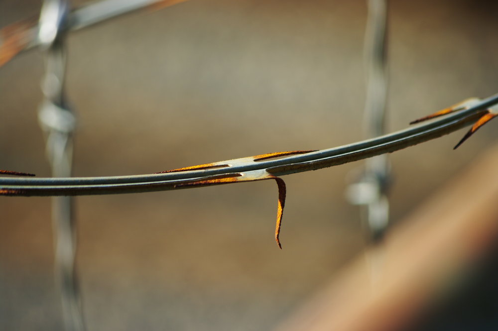 Barbed Bokeh No.1