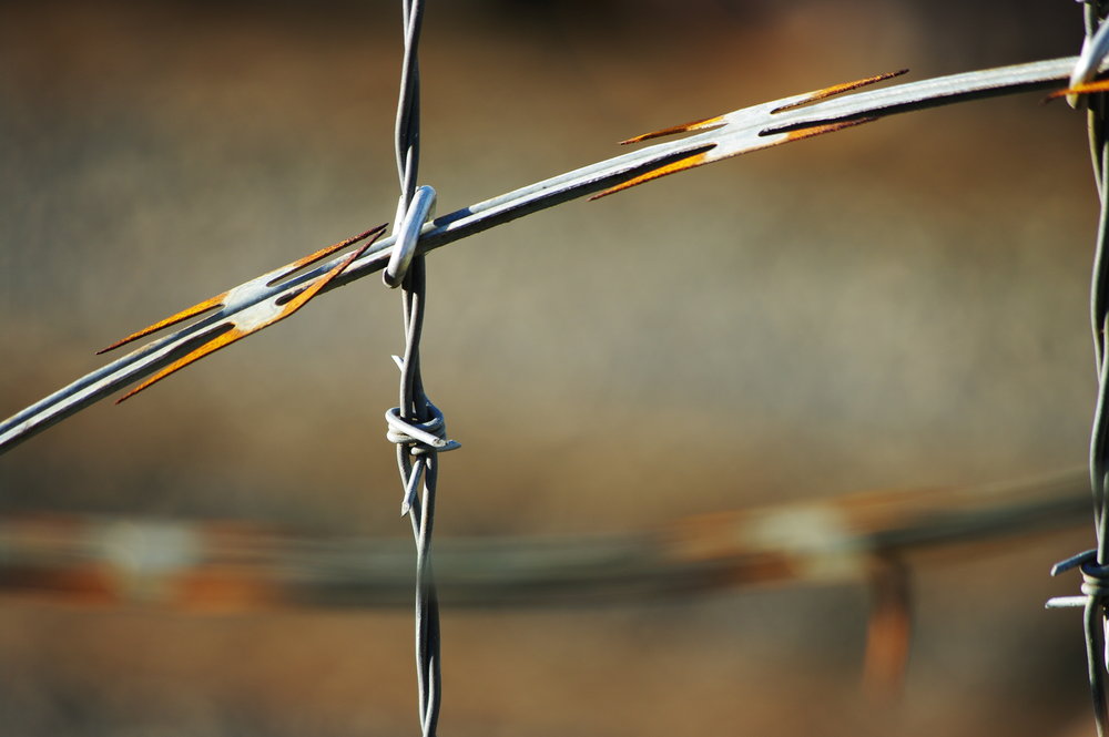 Barbed Bokeh No.2