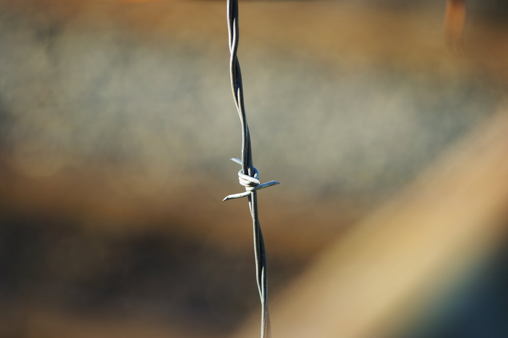 Barbed Bokeh No.3