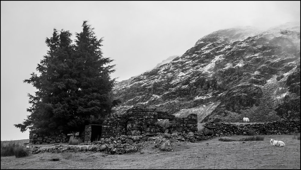 Bleak House