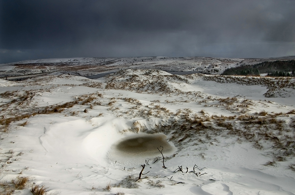 Icy Hollow