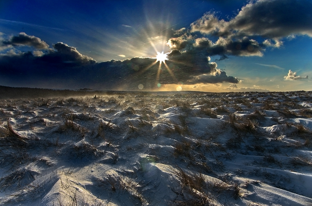 Winter Sun on The Snowfield