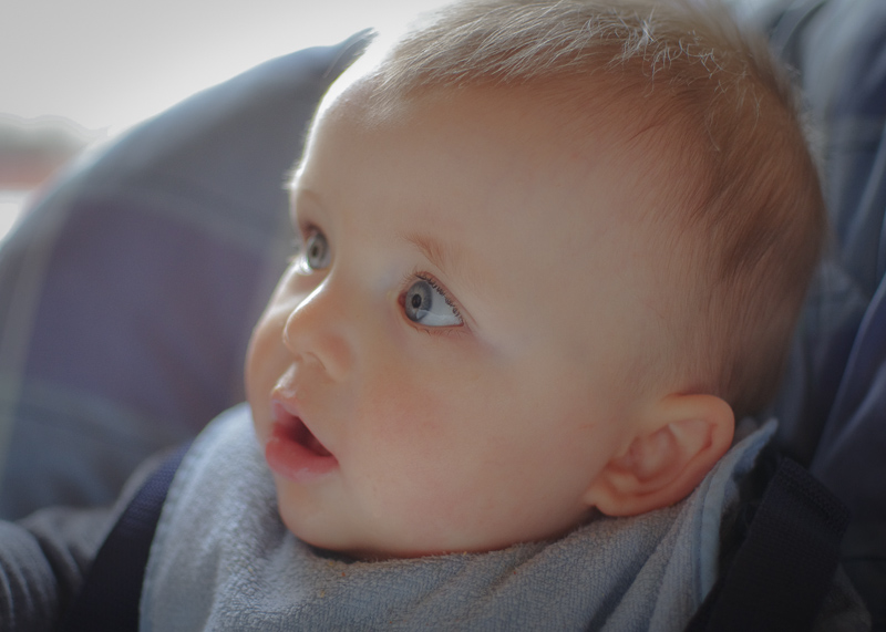 wonderment