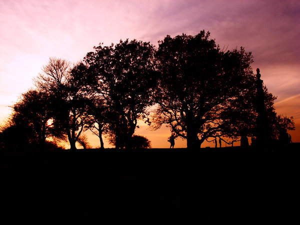 Coombe Hill 2011 - Sunset