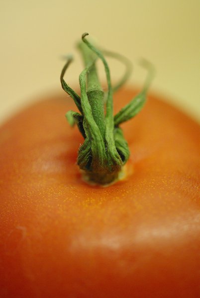 Dried Calyx