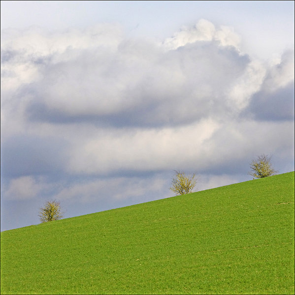 Green Field