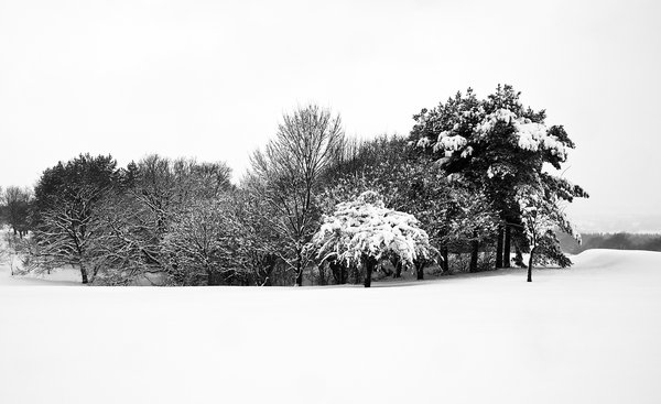 Hallowes golf Course