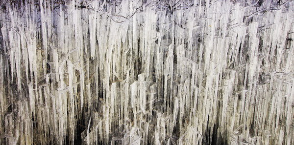 jack frost has been at work