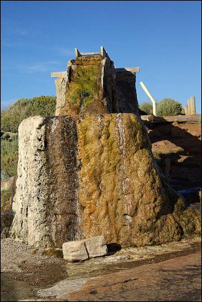 Leeuwin calcified water wheel