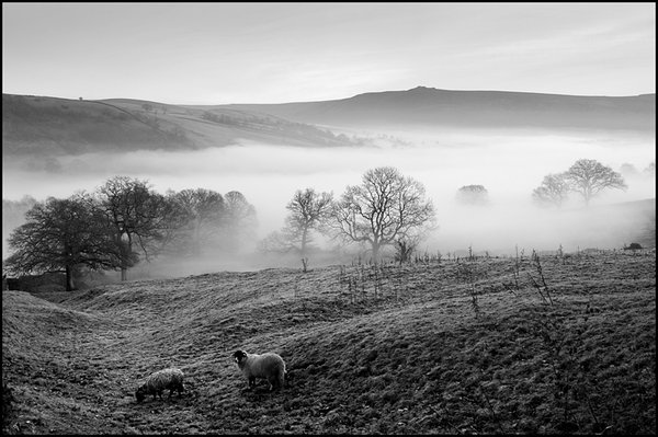 Misty Burnsall - Yorkshire Dales, Yorks. '12