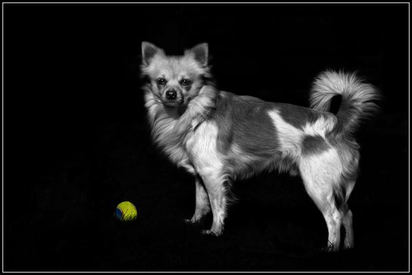 My ball