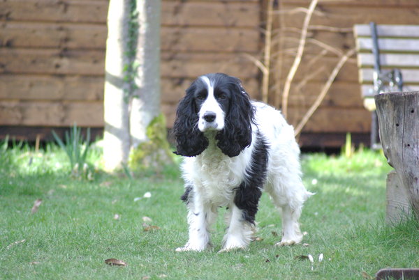Our Bella