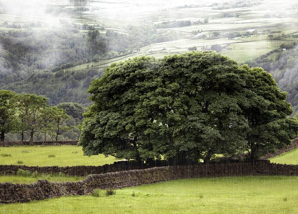 Rain in the Calder Valley