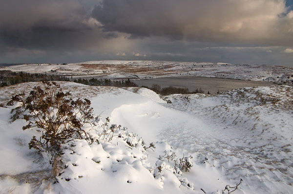 Snow Coming
