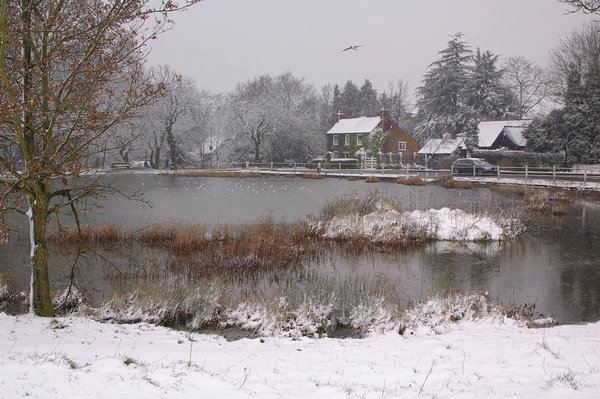 Spring Snow