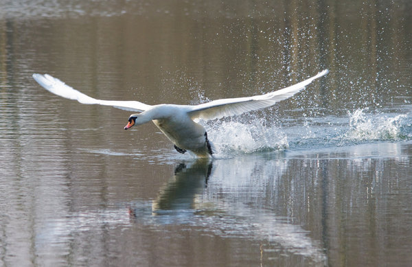 Take off