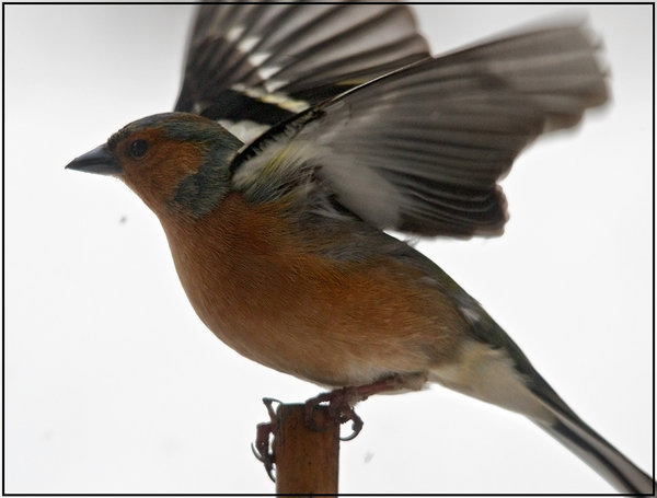 Take-Off