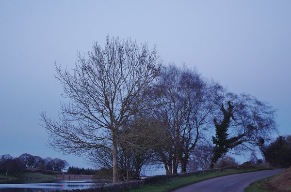 The road home
