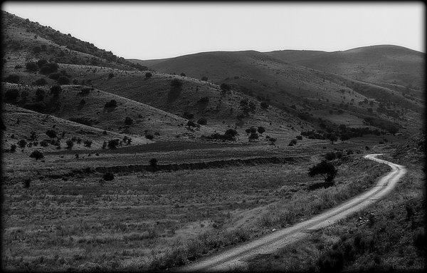 The Road