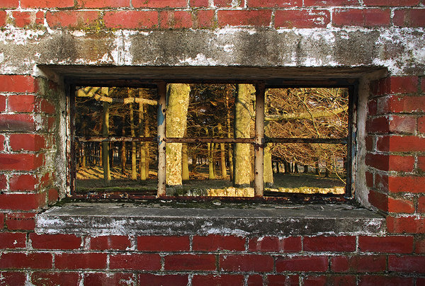 Window on the World Outside