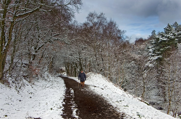 Winter Walk - in colour