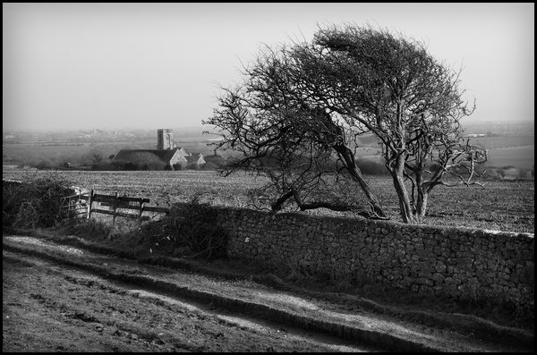 Woodspring Priory
