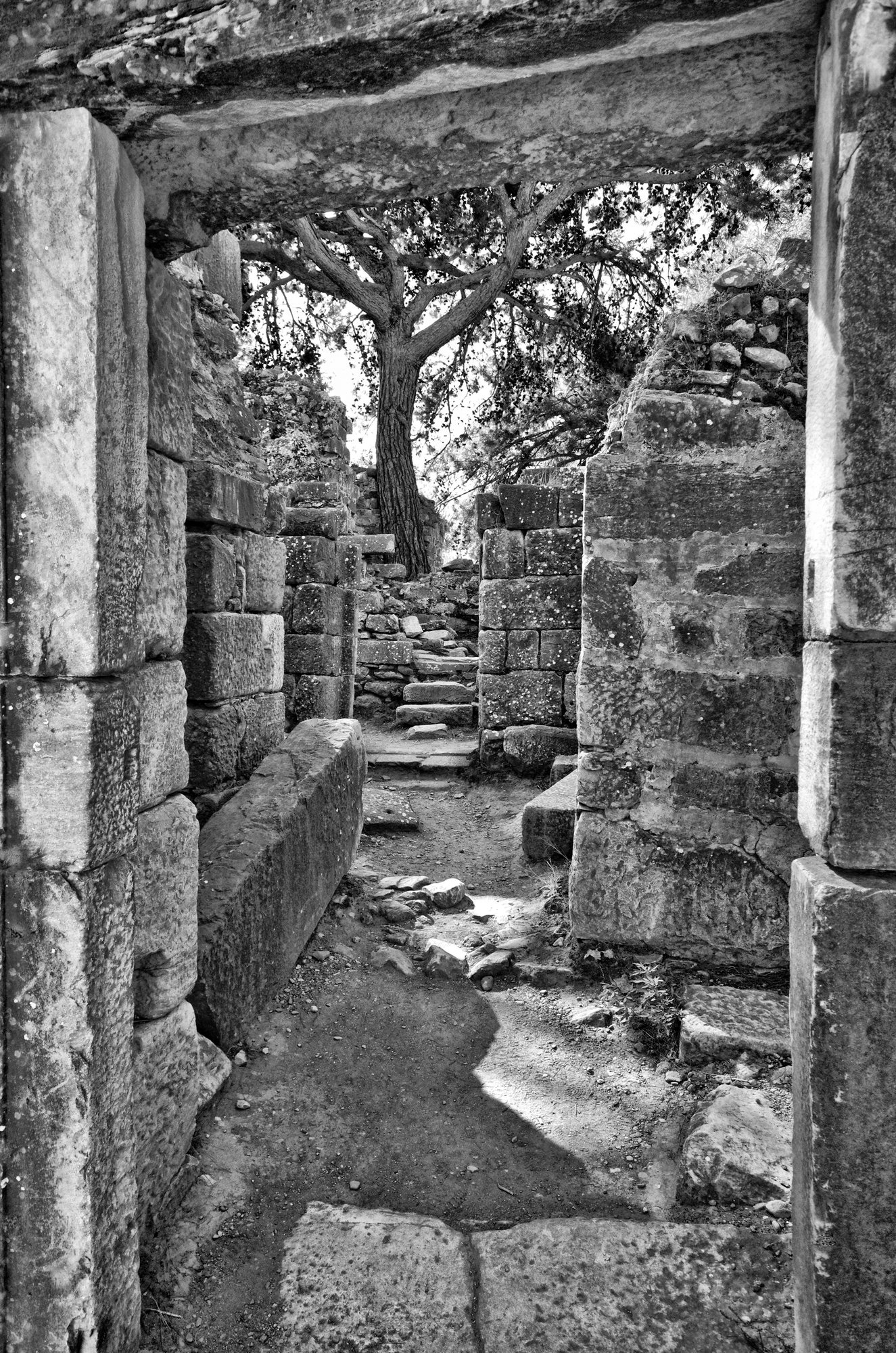 Back Door of the Stage