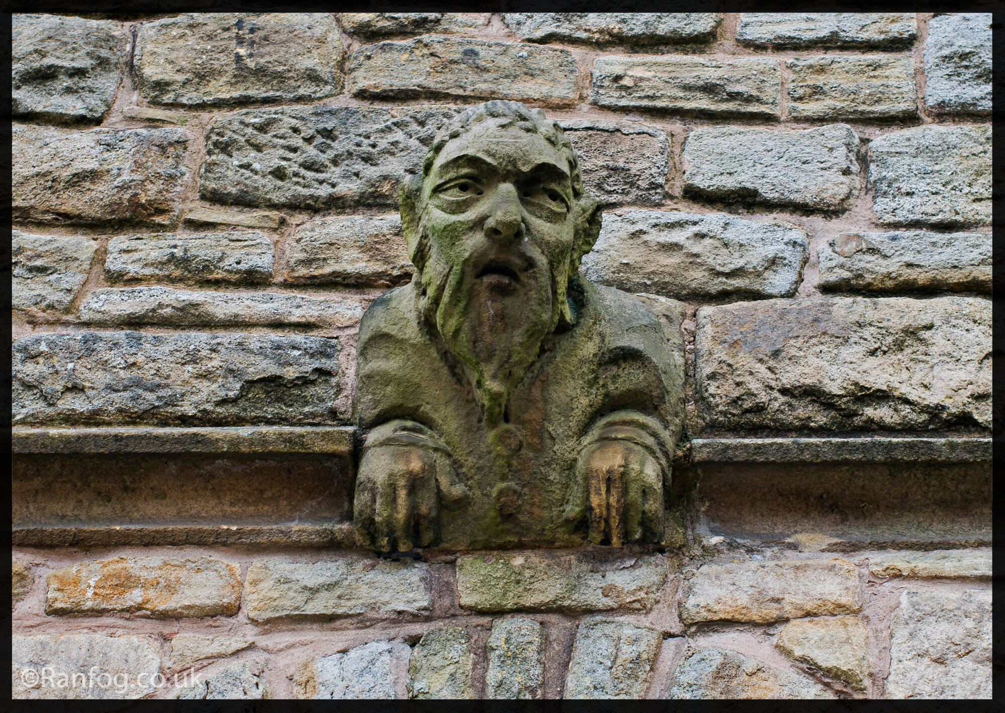 Dozy Gargoyel