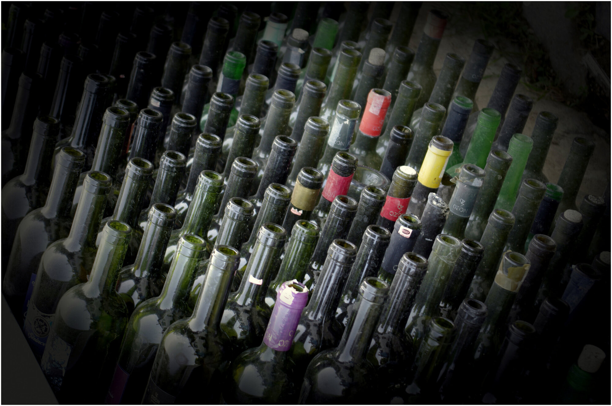 Empty Wine Bottles