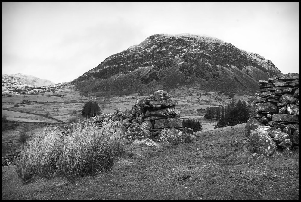 Abandoned Hafod