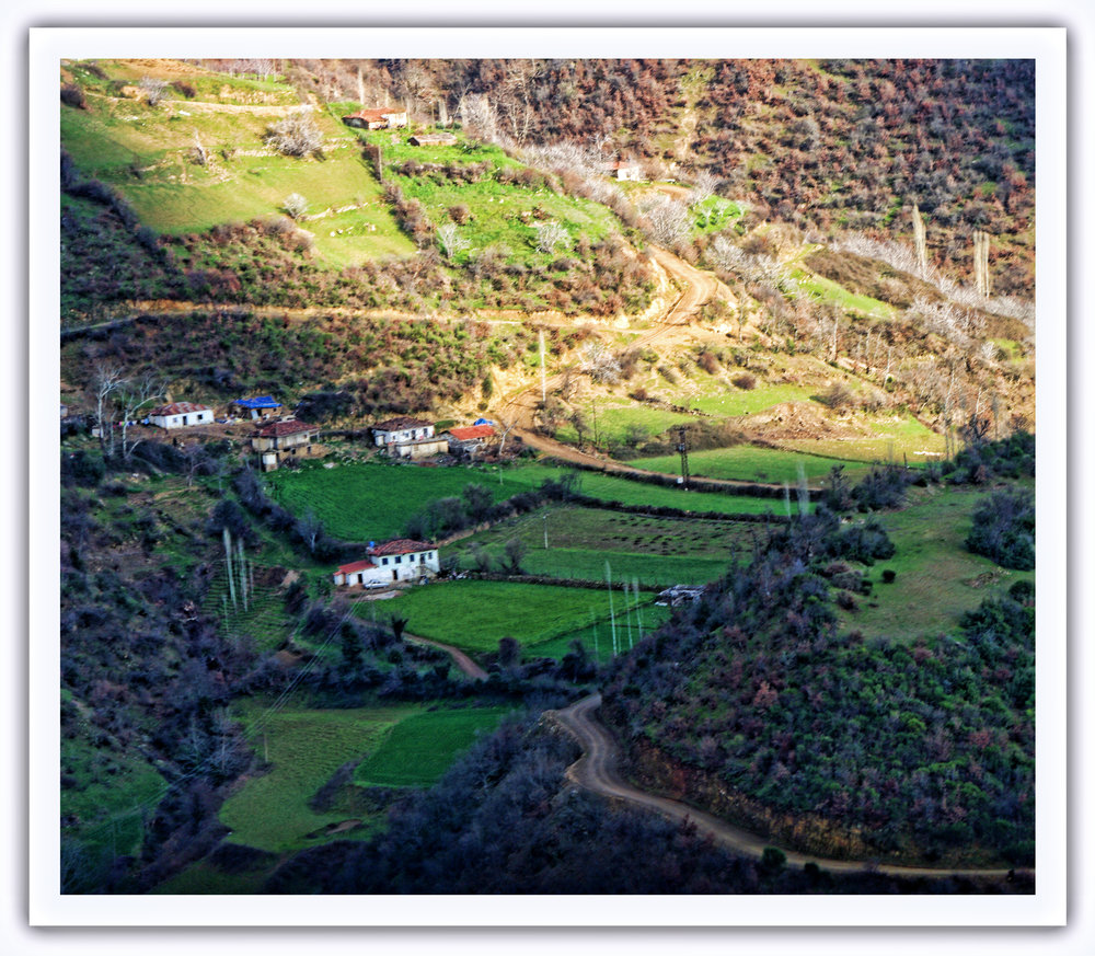 Landscape