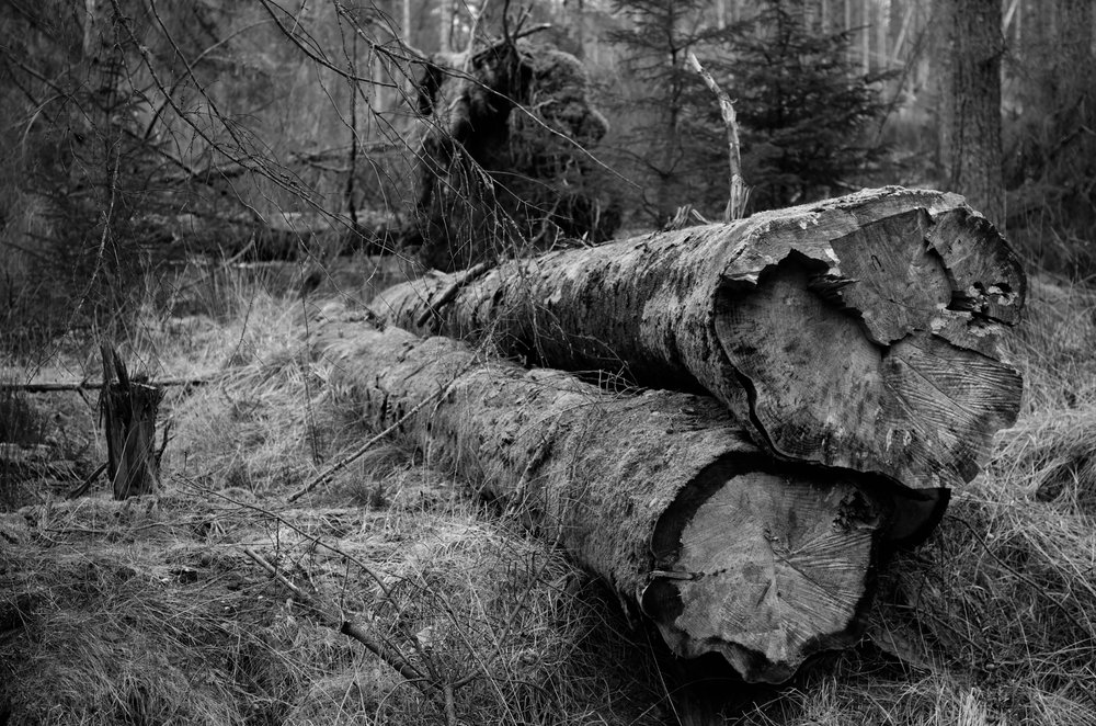 log 2