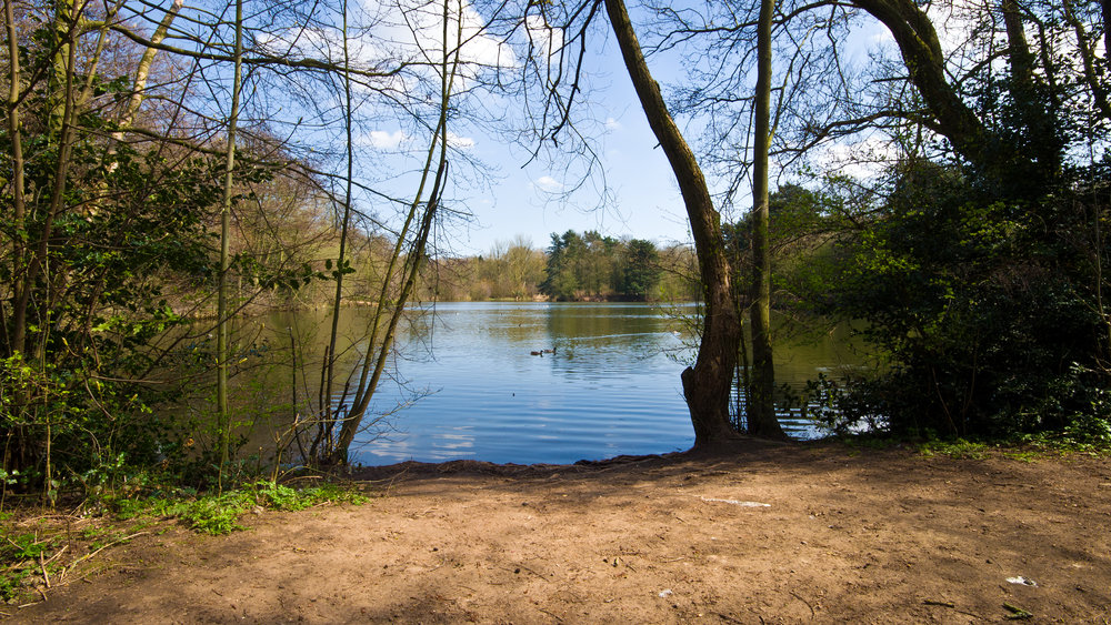 Sandwell Valley park