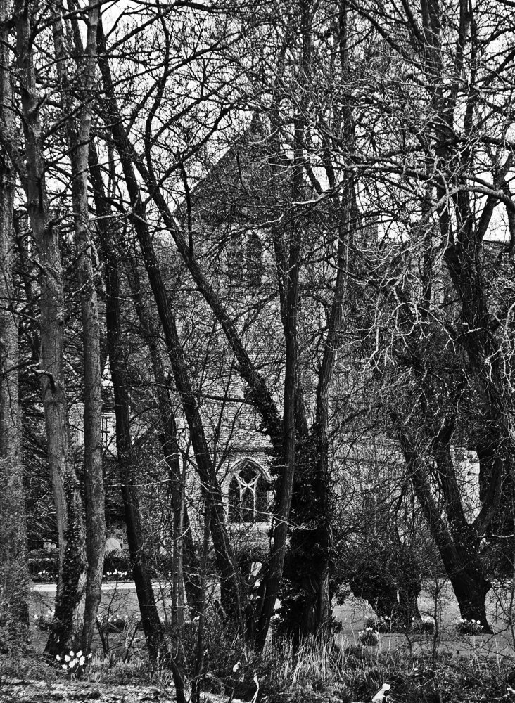 The Church in the Wood