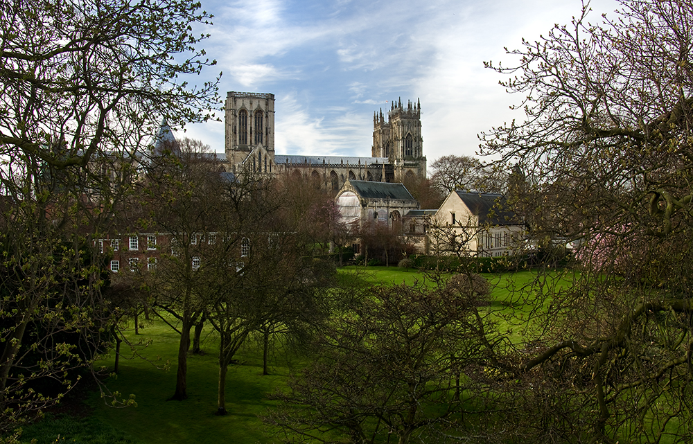 The Minster Thru The Trees